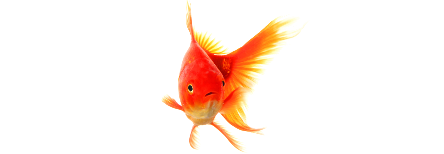 Exceptional Financial Advice