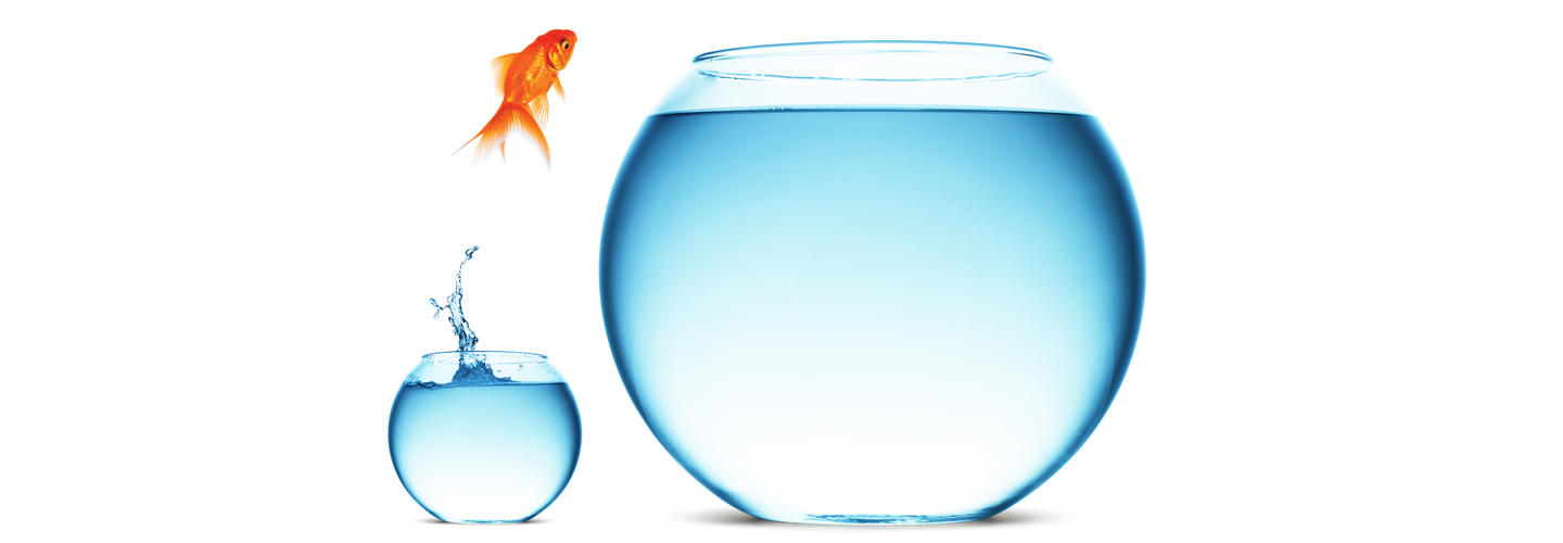 Minimising tax, protecting assets and creating wealth
